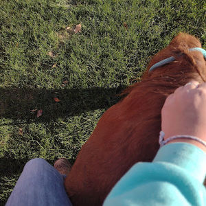 Meet your Posher, Mariah